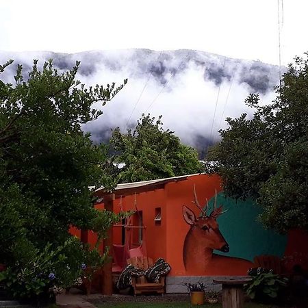 La Estacion Hostel Лаго-Пуэло Экстерьер фото